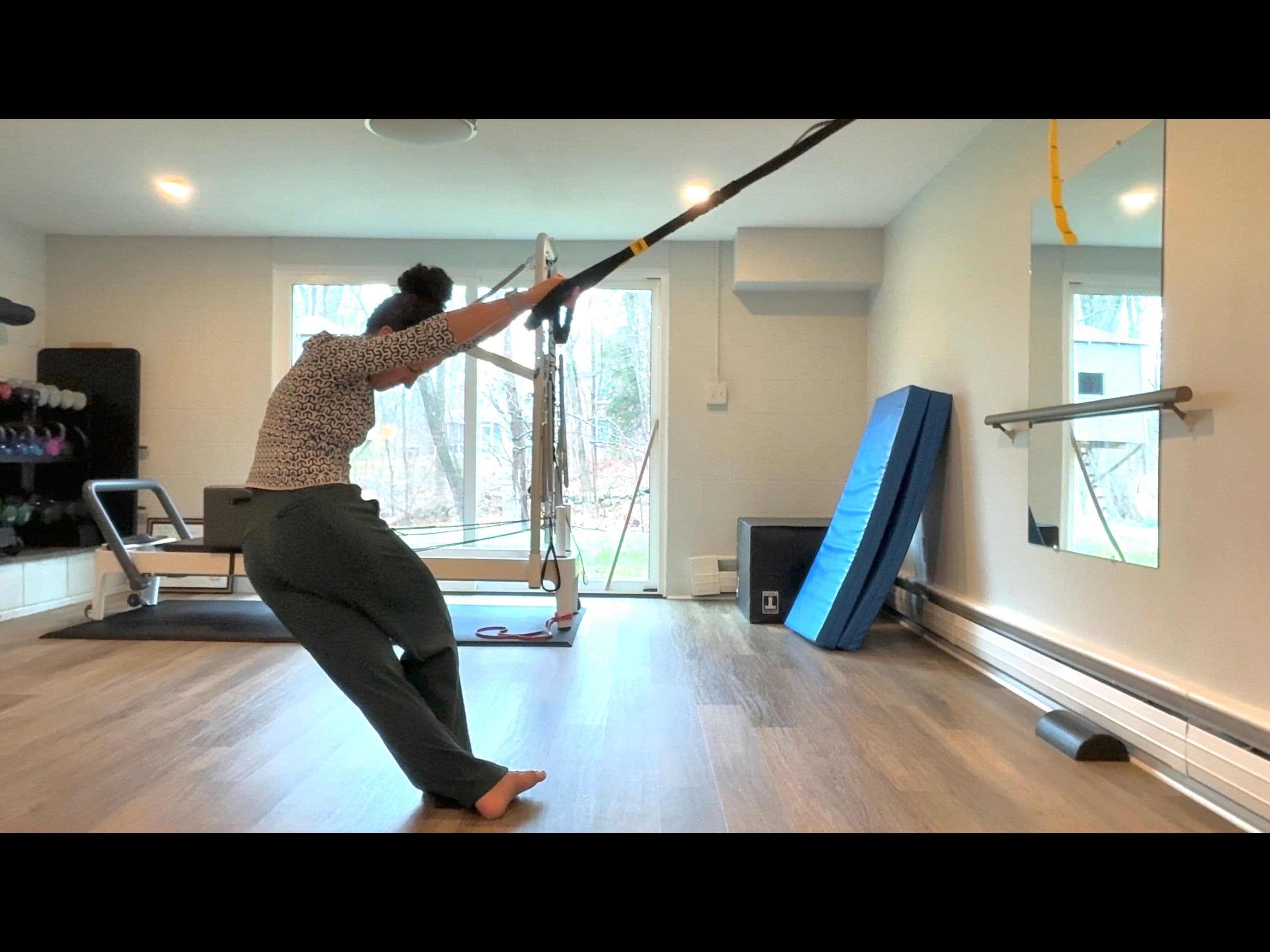 TRX Straps